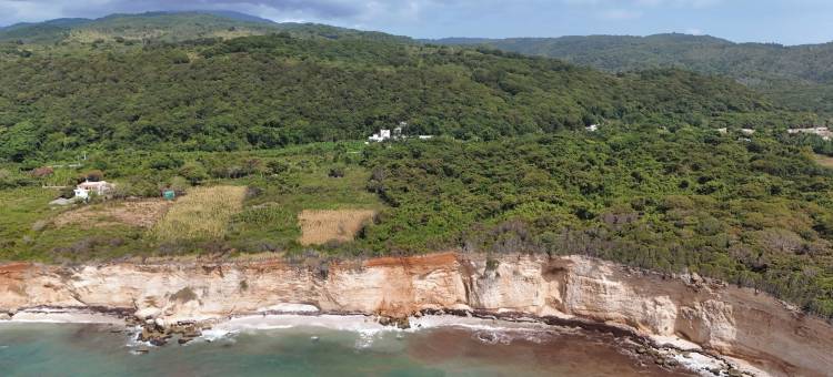 戴蒙德蓝色热带小屋(Daymond Blue Tropical Lodge)图片