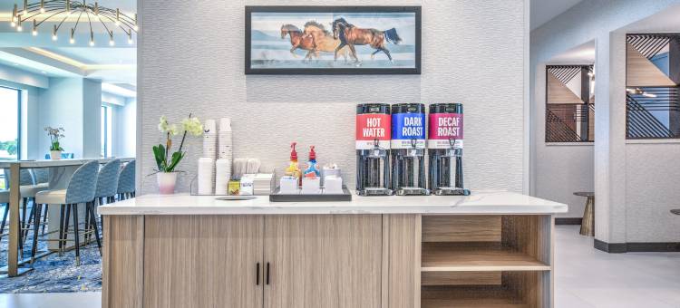 Hampton Inn & Suites by Hilton Irving Hwy 183图片