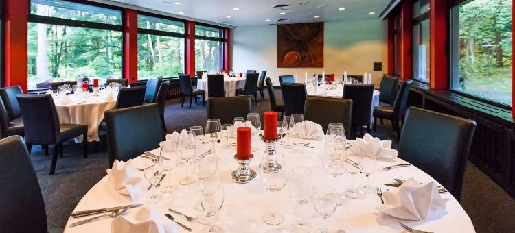 弗罗伊登施塔特DORMERO酒店(Dormero Hotel Freudenstadt)图片