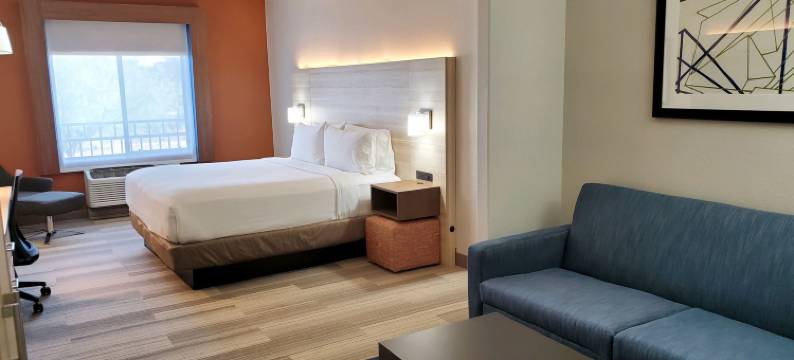 智选假日套房酒店凤凰城的格兰岱尔(Holiday Inn Express & Suites PHOENIX - GLENDALE SPORTS DIST by IHG)图片