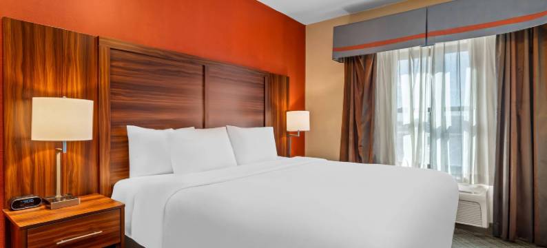 舒适套房酒店(Comfort Suites)图片