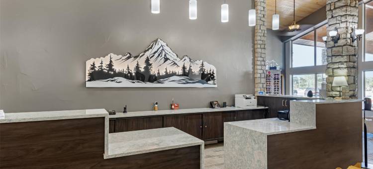 维斯塔贝斯特韦斯特酒店(Best Western Vista Inn)图片