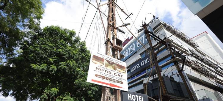 猫酒店(Hotel Cat)图片