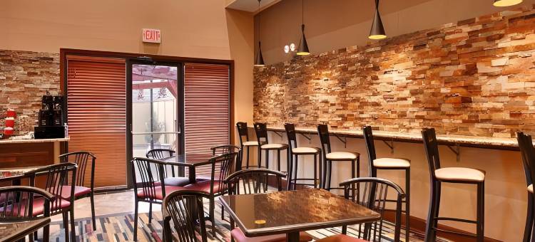 IAH布什机场-东舒适套房酒店(Comfort Inn & Suites IAH Bush Airport - East)图片