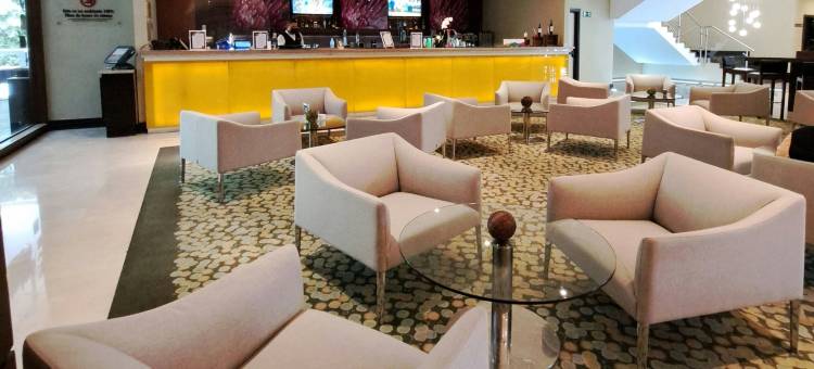 加拉加斯拉卡斯提亚万丽酒店(Renaissance Caracas la Castellana Hotel)图片