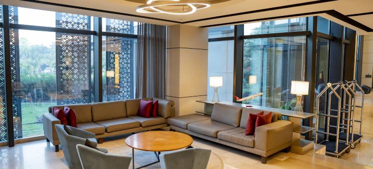 尼亚美丽笙蓝标酒店及会议中心(Radisson Blu Hotel Niamey)图片