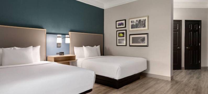 达拉斯阿林顿南拉昆塔温德姆套房酒店(La Quinta Inn & Suites by Wyndham Dallas Arlington South)图片