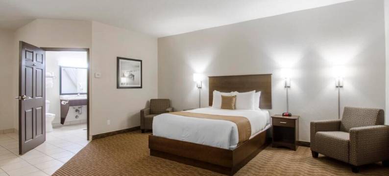 温德姆埃斯特万Travelodge套房(Travelodge Suites by Wyndham Estevan)图片