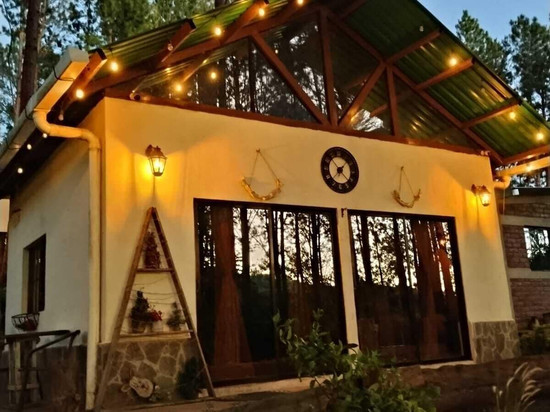 雅雅的小屋