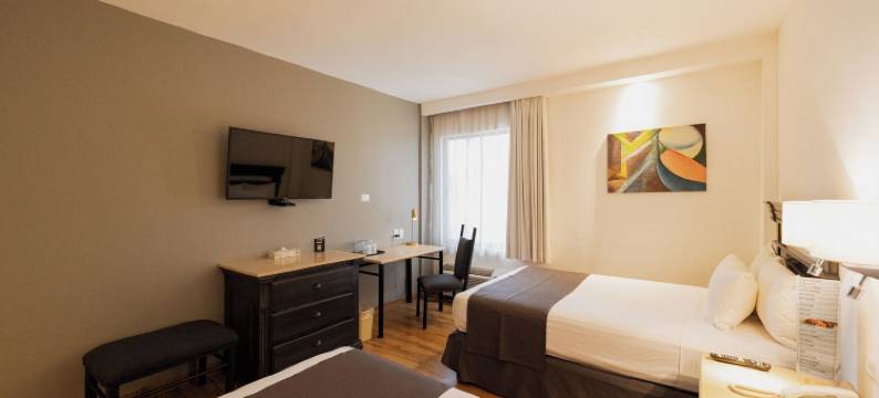 维多利亚快捷酒店(Hotel Victoria Express)图片