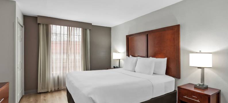 舒适套房酒店-近涅尔波托马克米尔斯(Comfort Suites Near Potomac Mills)图片