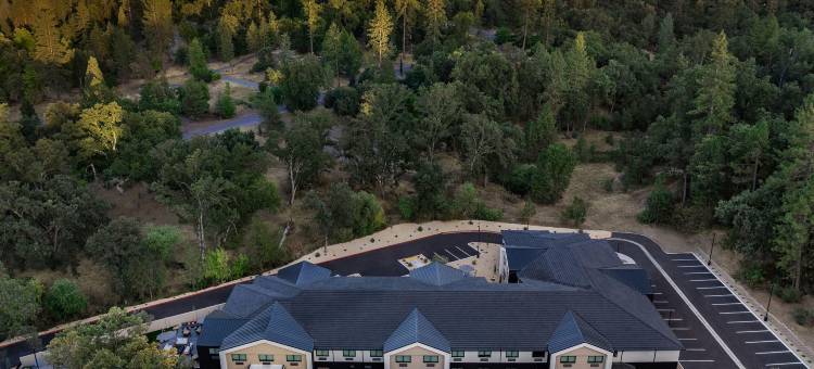 伊内尔，奥克赫斯特优胜美地酒店，臻品之选(The Inelle, Oakhurst Yosemite, a Tribute Portfolio Hotel)图片