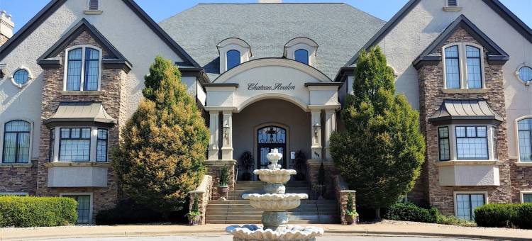 阿瓦伦城堡酒店和spa(Chateau Avalon)图片