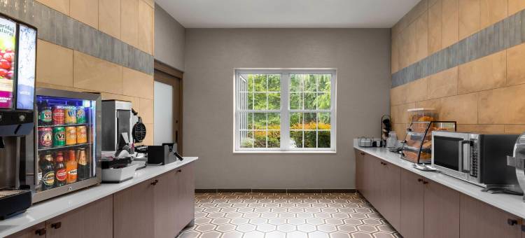 温德姆拉昆塔诺克斯维尔西区酒店及套房(La Quinta Inn & Suites by Wyndham Knoxville West)图片