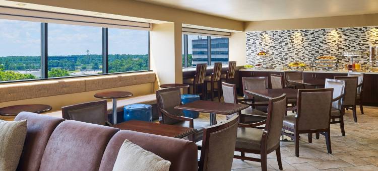 北休斯顿乔治布什洲际机场喜来登酒店(Sheraton North Houston at George Bush InterContinental)图片