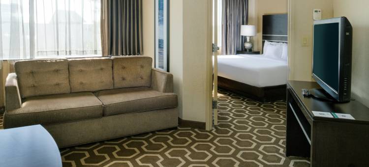 希尔顿安泊酒店-圣路易斯机场(Embassy Suites by Hilton St. Louis Airport)图片