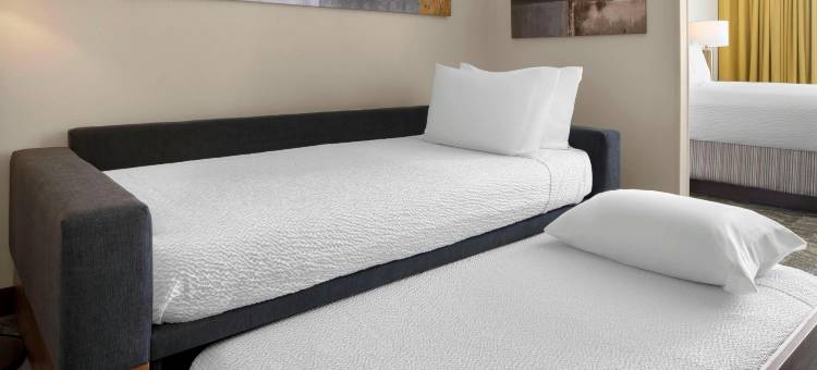 奥斯汀圆石城万豪 SpringHill Suites 酒店(SpringHill Suites Austin Round Rock)图片