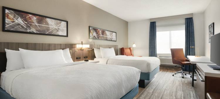 韦恩堡希尔顿花园酒店(Hilton Garden Inn Fort Wayne)图片