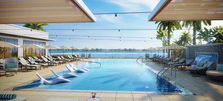 坦帕湾威斯汀酒店(The Westin Tampa Bay)图片