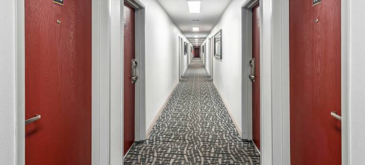 红屋顶酒店圣乔治UT-会议中心(Red Roof Inn St George, UT - Convention Center)图片