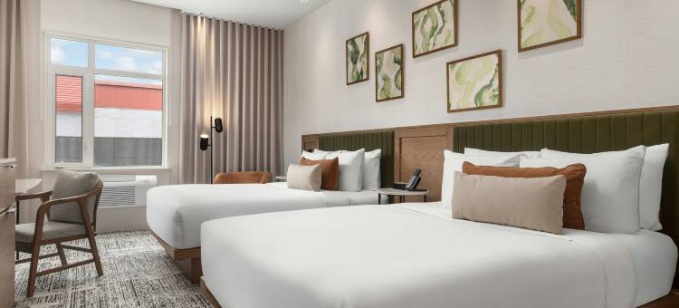 蒙特利尔铁路公园, 希尔顿启缤精选酒店(Hotel Railwayparc Montreal, Tapestry Collection by Hilton)图片