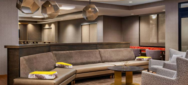萨拉索塔布雷登顿智选假日套房-IHG(Holiday Inn Express & Suites Sarasota Bradenton by IHG)图片