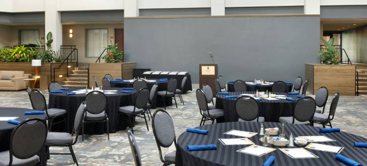 列克星敦希尔顿安泊套房酒店(Embassy Suites by Hilton Lexington/UK Coldstream)图片