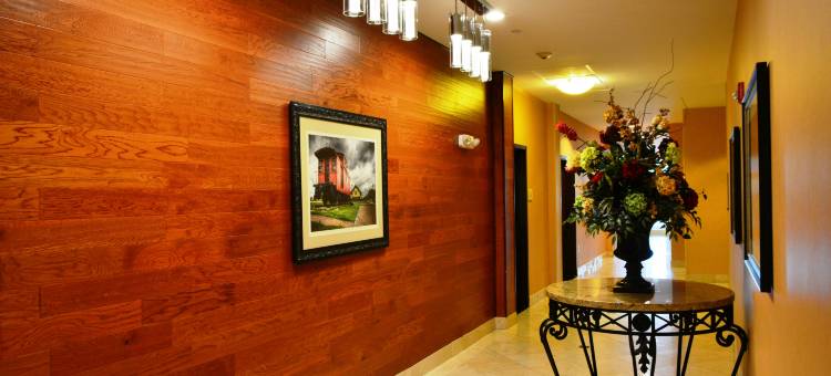 休斯顿西孔蒂希尔顿花园酒店(Hilton Garden Inn Houston West Katy)图片