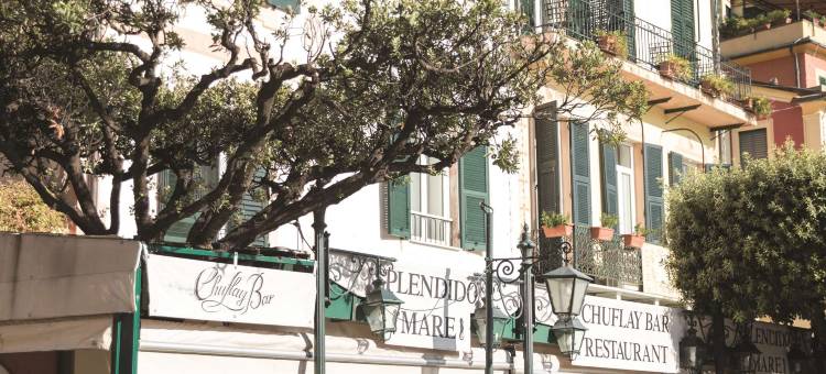 诗浦兰蒂朵海滨，贝梦德酒店， 波托菲诺(Splendido Mare, A Belmond Hotel, Portofino)图片