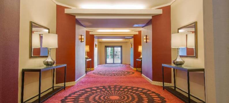 MTK芒特凯斯科酒店(Hotel Mtk Mount Kisco)图片