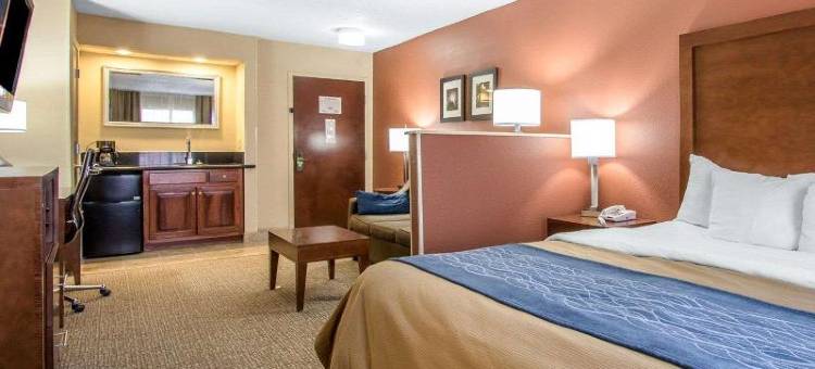 利文斯顿舒适酒店(Comfort Inn)图片