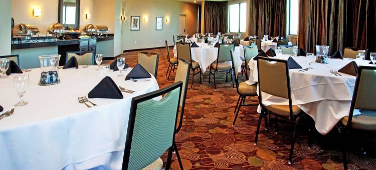 Holiday Inn 新奥尔良西岸大厦(Holiday Inn New Orleans West Bank Tower)图片