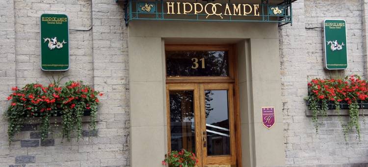Hotel Hippocampe (pour hommes seulement)图片