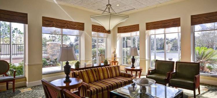 布兰登坦帕河景希尔顿花园酒店(Hilton Garden Inn Tampa/Riverview/Brandon)图片