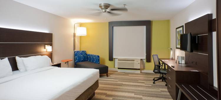 洲际酒店集团智选假日酒店及套房斯科特 - 拉斐特西(Holiday Inn Express & Suites Scott-Lafayette West)图片