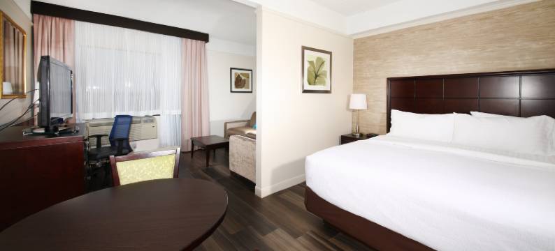 Holiday Inn & Suites 温莎(大使桥) by IHG(Holiday Inn & Suites Windsor (Ambassador Bridge) by IHG)图片