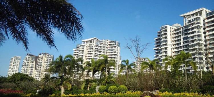 观海的家公寓(淇水湾大道分店)图片