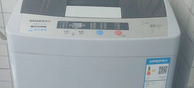 大朗常平多处有房长短租公寓(珊瑚路分店)图片