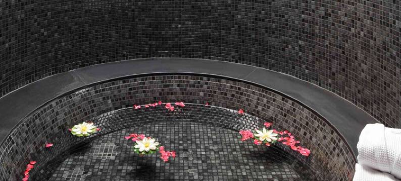 亚洲花园酒店及泰国水疗中心 - 皇家隐居酒店(Asia Gardens Hotel & Thai Spa, a Royal Hideaway Hotel)图片