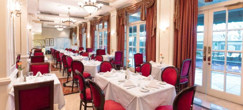 巴塞罗酒店-圣萨尔瓦多(Barceló San Salvador)图片