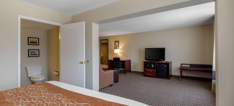 西南休斯顿舒格兰舒适套房酒店(Comfort Inn & Suites SW Houston Sugarland)图片