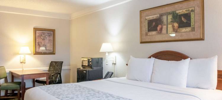 新奥尔良维特昂斯梅泰里拉昆塔温德姆酒店(La Quinta Inn by Wyndham New Orleans Veterans / Metairie)图片