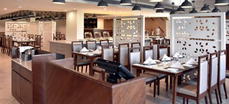 多尼尔舒适酒店(Comfort Inn Donil Vadodara)图片