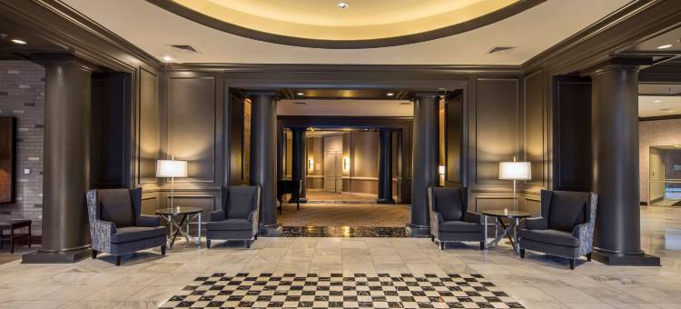 希尔顿亚历山德里亚古城酒店(Hilton Alexandria-Old Town)图片