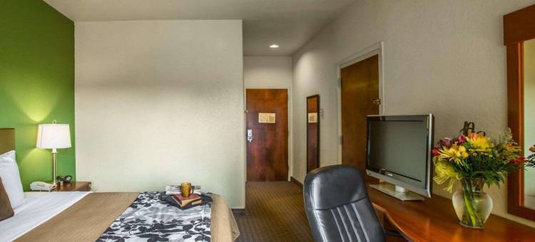 近棕榈州立公园的冈萨雷斯舒眠酒店及套房(Sleep Inn & Suites Near Palmetto State Park)图片