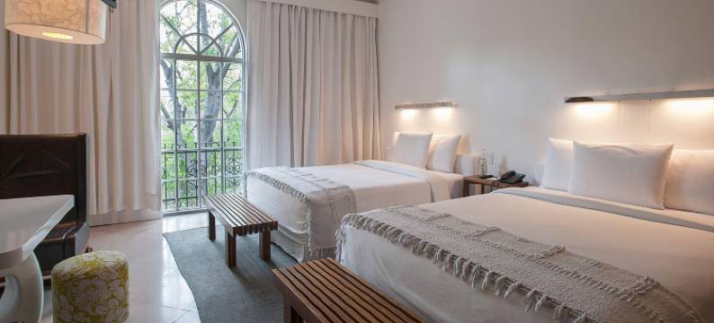 DF康德萨，Design Hotels™设计酒店成员(Condesa df, Mexico City, a Member of Design Hotels)图片