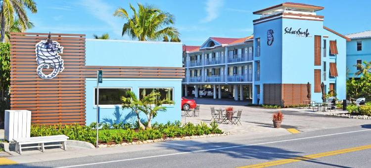 银浪湾海滩度假酒店(Silver Surf Gulf Beach Resort)图片