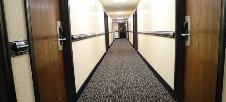 弗吉尼亚里士满机场速8酒店(Super 8 by Wyndham Richmond Airport VA)图片