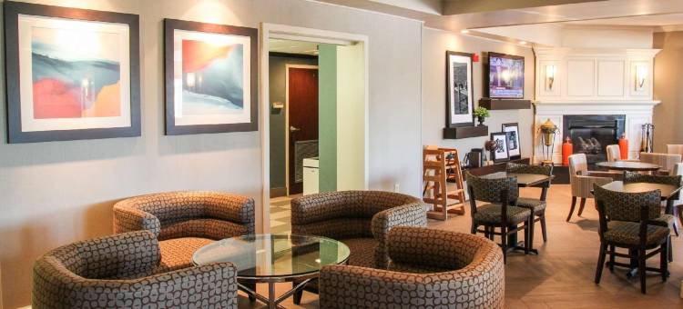 巴尔的摩BWI机场蔚景温德姆酒店(Wingate by Wyndham Baltimore BWI Airport)图片