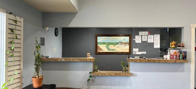 比恩韦尼多酒店(Hotel O Bien Venido Pearsall I-35)图片